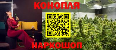 ALPHA PVP Будённовск