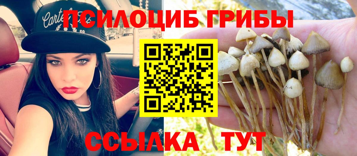 Псилоцибиновые грибы Psilocybine cubensis  Вход с VPN  Галлюциногенные грибы мухоморы  как найти наркотики  Луга 